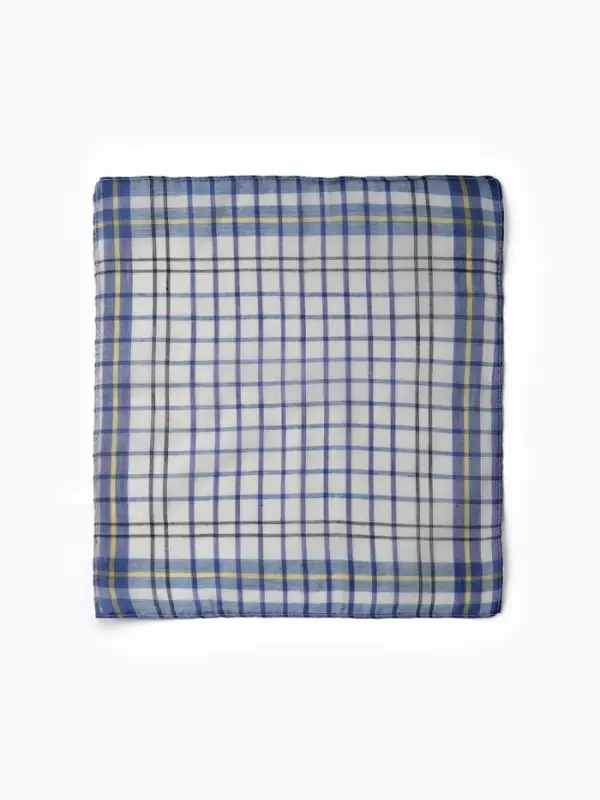 Платки носовые мужские Экономь и Я  Платки носовые мужские Экономь и Я "Квадрат" 38*38 см, (набор 10 шт), рис. МИКС,100% пэ