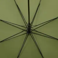 Зонт-трость Jolly Brolly, зеленый (хаки)