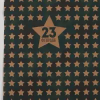 Бумага упаковочная крафт &laquo;Звёзды 23 февраля&raquo;, 50&times;70 см