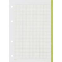 Сменный блок для тетрадей на кольцах, BeSmart А5 120л клетка Цветной N001d