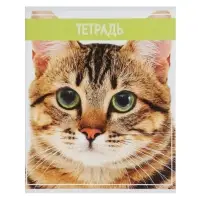 Тетрадь 36 листов в клетку, Calligrata &laquo;Кошки&raquo;, МИКС