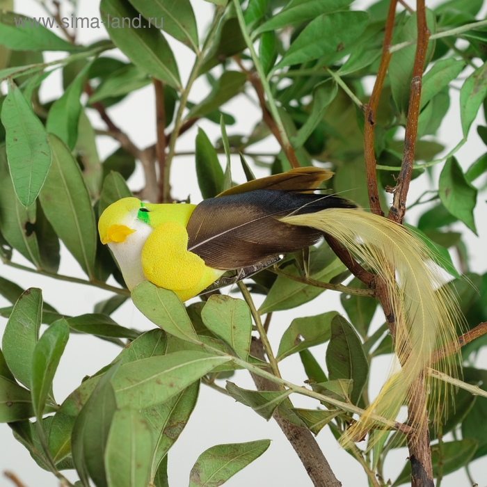 Птичка для декора и флористики, на прищепке, МИКС, пластиковая, 1шт., 8 х 8 см Птичка для декора и флористики, на прищепке, МИКС, пластиковая, 1шт., 8 х 8 см