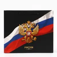 Пакет подарочный, упаковка, &laquo;Россия&raquo;, 32&times;26&times;12 см