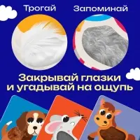 Развивающий набор &laquo;Животные фермы&raquo;, 10 тактильных карточек, 3+