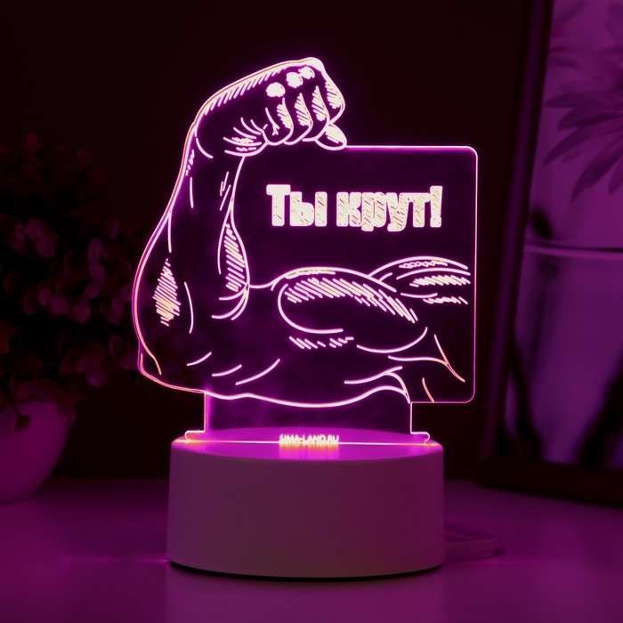 Светильник  Светильник "Ты крут" LED RGB от сети 12,8х9,5х14,5 см RISALUX