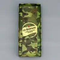 Коробка с прозрачной крышкой под рулет, &laquo;23 февраля&raquo;, 30&times;12&times;12 см