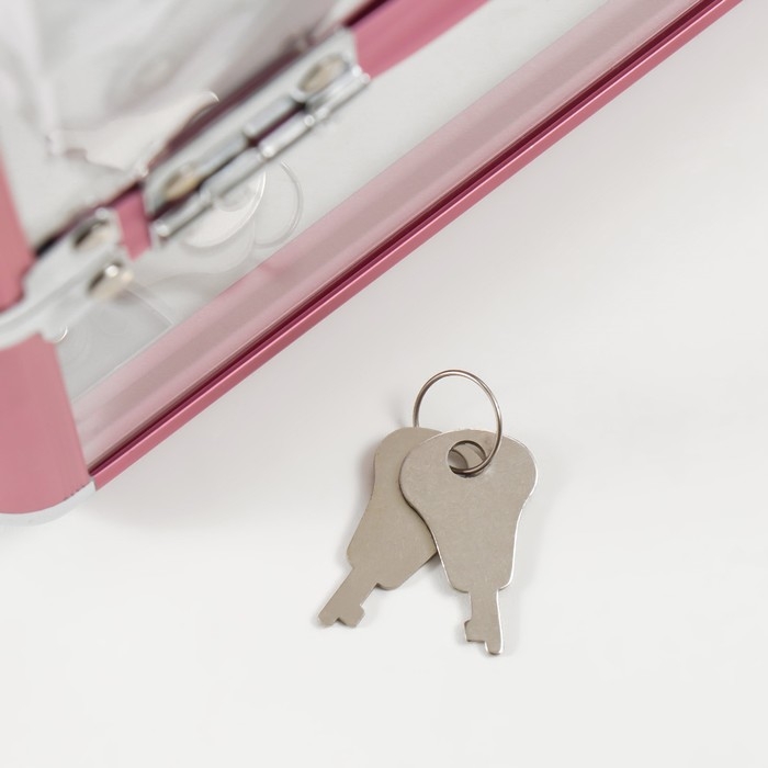 Шкатулка пластик металлокаркас Шкатулка пластик металлокаркас "Розовый металлик" 18х25х18 см