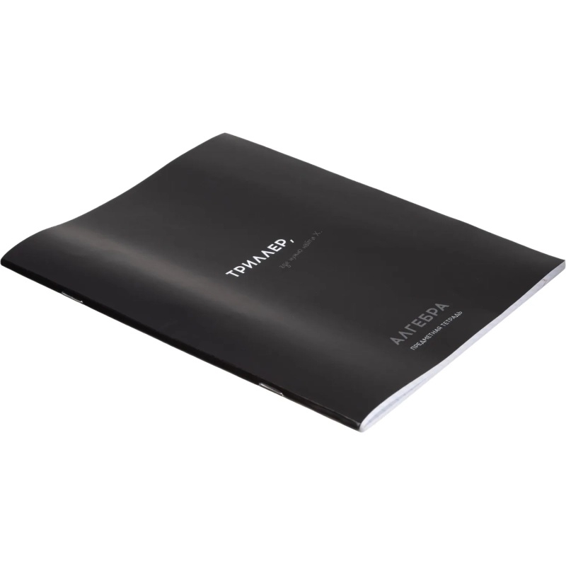 Тетрадь КЛЕТКА 48л. АЛГЕБРА 'ОСТРОУМИЕ И ОТВАГА', 48-2398