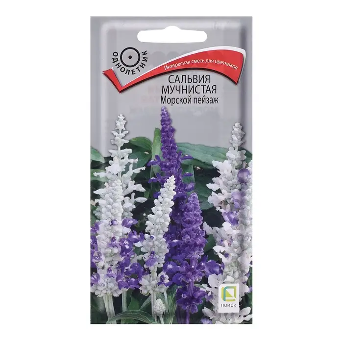 Семена цветов Сальвия мучнистая  Семена цветов Сальвия мучнистая "Морской пейзаж", 10шт