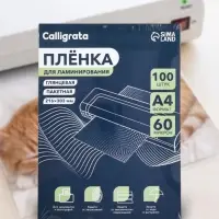 Пленка для ламинирования A4, 100 штук, глянцевая, 60 мкм, 216&times;303 мм