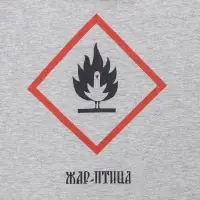 Футболка «Жар-птица», серый меланж, размер S