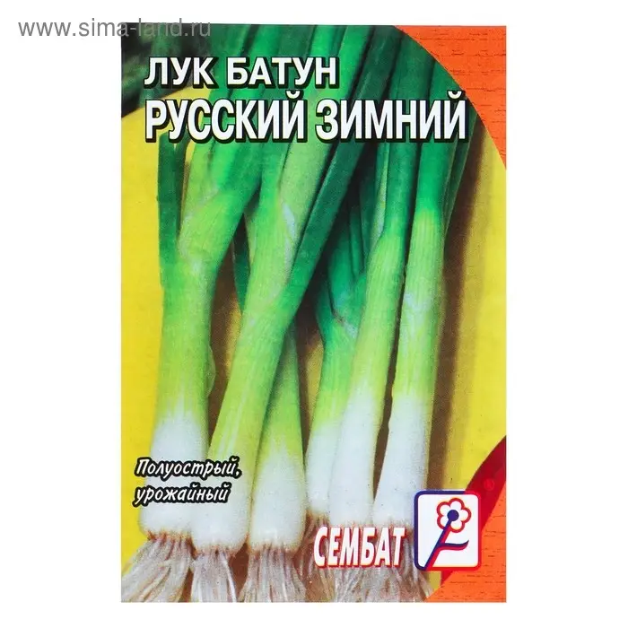 Семена Лук батун &laquo;Русский зимний&raquo;, 1 г, &laquo;Сембат&raquo;