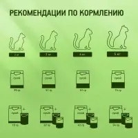 Сухой корм Whiskas для кошек, Телятинка аппетитная, 1.3 кг Сухой корм Whiskas для кошек, Телятинка аппетитная, 1.3 кг