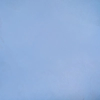 Перчатки нитрил., н/с, н/о,3,5гр./шт,глб/глб уп. FOXY-GLOVES (XL)50 пар/уп