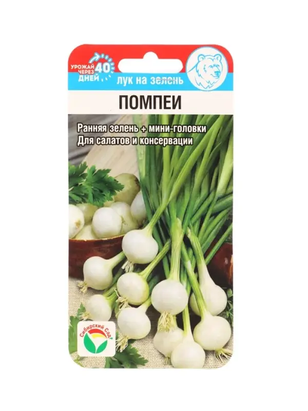 Семена Лук на зелень "Помпеи", 0,5 г