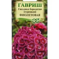 Семена гвоздика &laquo;Фиолетовая&raquo;, 0.1 г