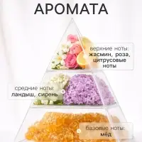 Диффузор ароматический с палочками Holi Admiration, 50 мл