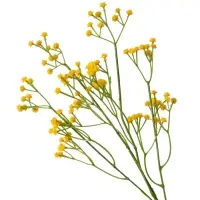 Цветы искусственные &laquo;Ветка гипсофилы&raquo;, 1&times;53 см, жёлтые