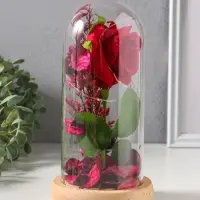 Фигурка световая колба RISALUX &laquo;Роза&raquo;, LED - ночник, 3&times;АG10, красный, 9.5&times;9.5&times;19.5 см