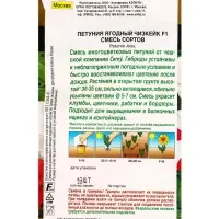 Семена цветов Петуния «Ягодный чизкейк», F1, смесь сортов, драже, С. Cerny, 10 шт. Семена цветов Петуния «Ягодный чизкейк», F1, смесь сортов, драже, С. Cerny, 10 шт.