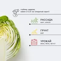 Семена Капуста брокколи &laquo;Фиеста F1&raquo;, 10 шт., &laquo;Престиж семена&raquo;