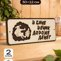 Табличка для бани и сауны &laquo;В бане веник дороже денег&raquo;, 30&times;12 см, деревянная