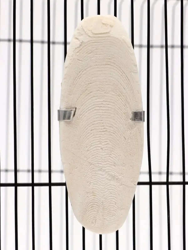 Панцирь каракатицы для птиц, 10-12 см, белый Панцирь каракатицы для птиц, 10-12 см, белый