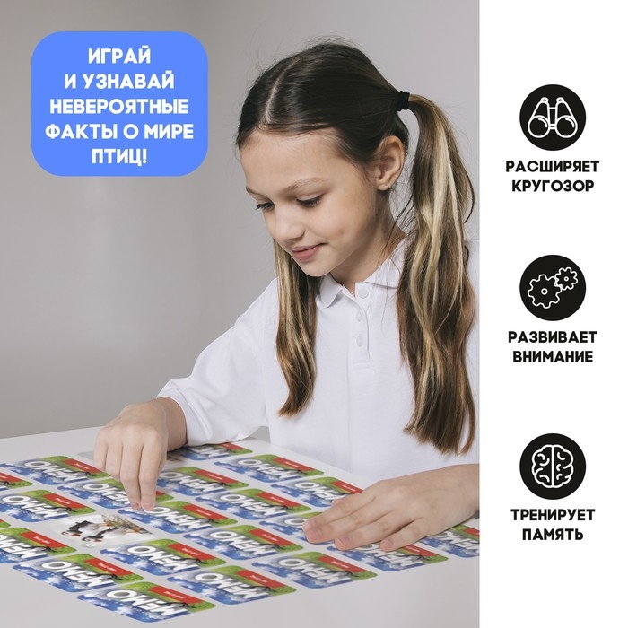 Мемо «Мир птиц» Мемо «Мир птиц»