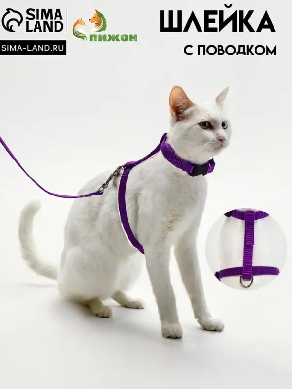 Комплект для кошек, ОШ 16.5-27 см, ОГ 21-35 см, ширина 1 см, поводок 120 см, фиолетовый