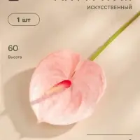 Цветы искусственные &laquo;Антуриум&raquo;, h=60 см, светло-розовые