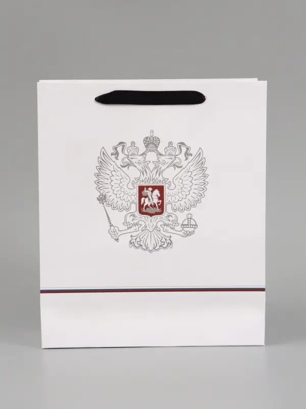 Пакет подарочный &laquo;Россия&raquo;, 25.5&times;30&times;9 см