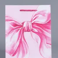 Пакет подарочный "Розовый бант" ламинированный 18 х 22,3 х 10 см