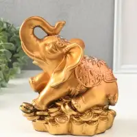 Копилка для денег &laquo;Слон на деньгах&raquo;, гипс, 21&times;20&times;16 см