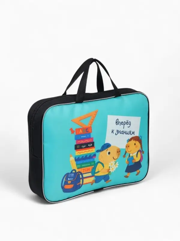 Папка для труда, А4, текстильная, 35&times;27&times;7 см &laquo;Капи&raquo;