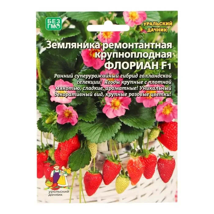 Семена Земляника ремонтантная &laquo;Флориан&raquo;, F1, крупноплодная, 5 шт., &laquo;Уральский Дачник&raquo;