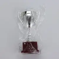 Кубок 045, наградная фигура, серебро, подставка пластик, 20 см