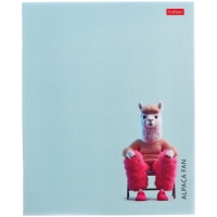 Тетрадь 48л кл "Alpaca fan", пласт обл с печатью, бл офсет 60-65г/м², 5В МИКС