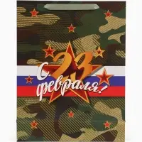 Пакет ламинированный &laquo;С 23 февраля!&raquo;, 31&times;40&times;11.5 см