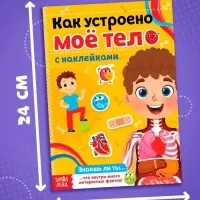 Наклейки &laquo;Как устроено моё тело&raquo;, 16 стр.