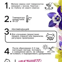 Семена Аквилегия "Маккана Гигант", ц/п,  0,1 гр.