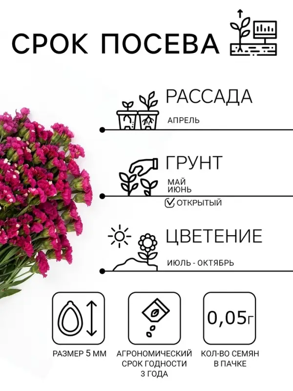 Семена цветов Статица &laquo;Суприм карминная&raquo;, 0.15 г, &laquo;ПОИСК&raquo;