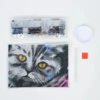 Алмазная мозаика с полным заполнением на холсте &laquo;Кот&raquo;, 15&times;21 см
