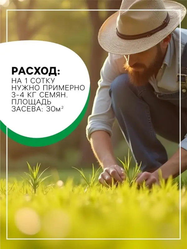 Газонная травосмесь &laquo;Красотень&raquo;, &laquo;Гном&raquo; 1 кг