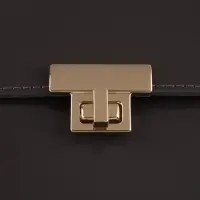 Застёжка для сумки, 3.9&times;2.6 см, цвет золотой