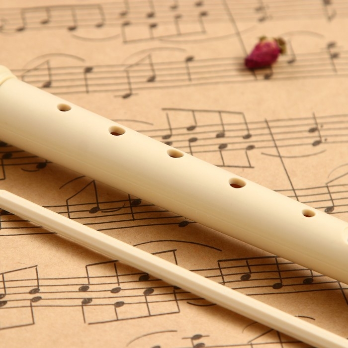 Блокфлейта Music Life, 8 отверстий, немецкая система, сопрано Блокфлейта Music Life, 8 отверстий, немецкая система, сопрано