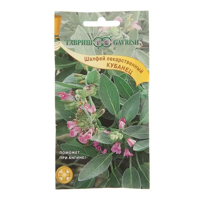 Семена Шалфей лекарственный" Кубанец", ц/п,   0,3 г