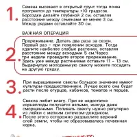 Семена Свекла столовая "Детройт", 1,5 г