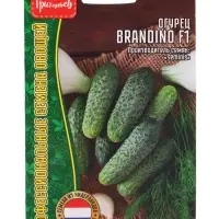 Семена Огурец Брандино F1 (Brandino) (Seminis) 5шт.  12.29 г.