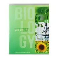 Набор предметных тетрадей Calligrata &laquo;Полоса&raquo;, 10 предметов, 48 листов, со справочным материалом, обложка из мелованного картона