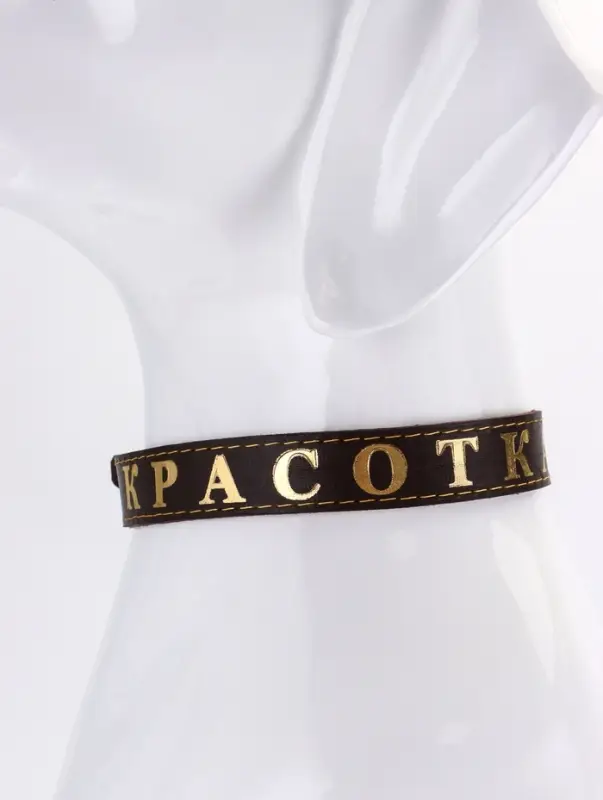 Ошейник однослойный Ошейник однослойный "Красотка", 2.5 см, тиснение фольгой, микс цветов